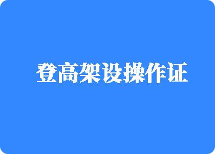 午夜大鸡巴使劲操免费视频登高架设操作证