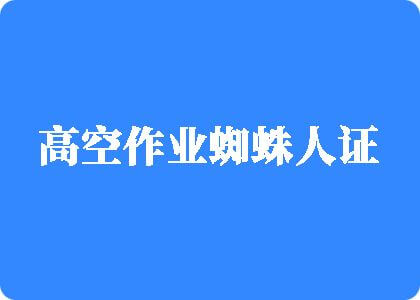 外国男人操女人视频高空作业蜘蛛人证