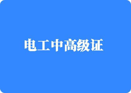 大鸡巴操大黑逼网电工中高级证